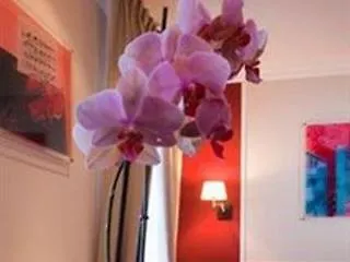 D'etigny 3* Bagnères-de-Luchon